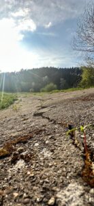 PHOTO-2025-04-15-11-58-46